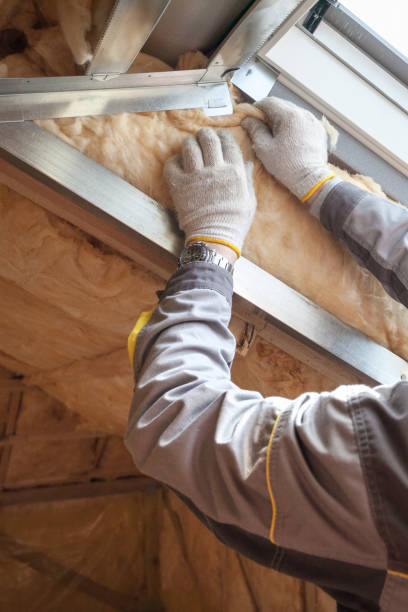 Best Eco-Friendly or Green Insulation Solutions  in Goldstream, AK