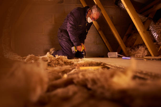 Best Insulation for New Construction  in Goldstream, AK